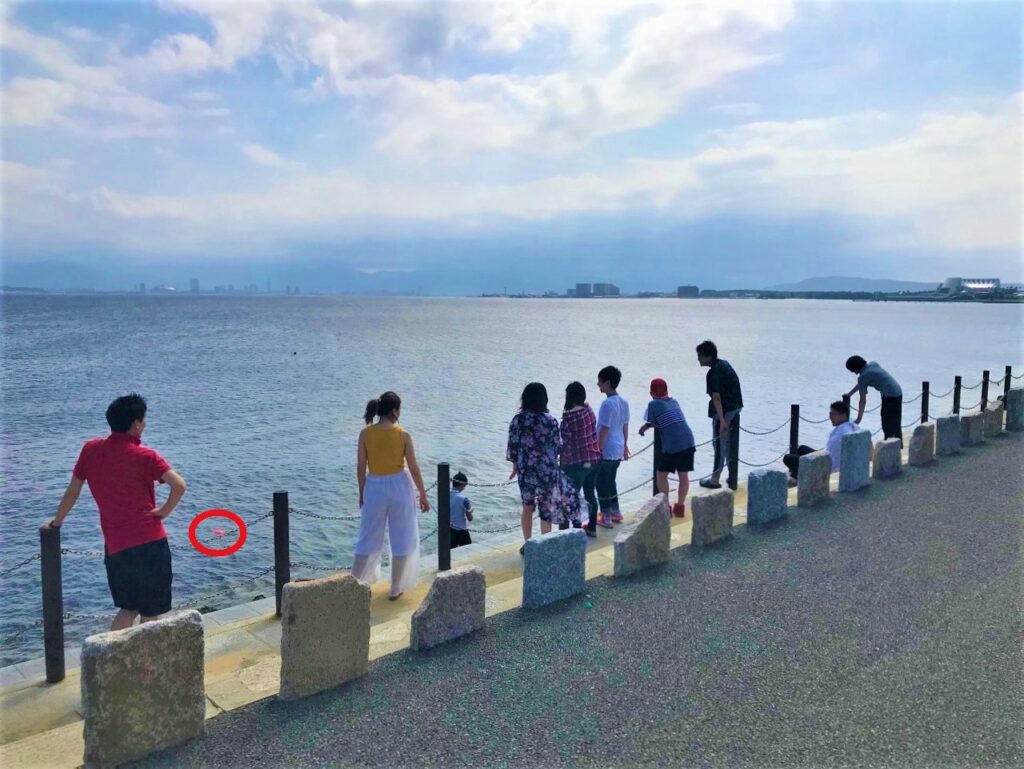 エフネクスト